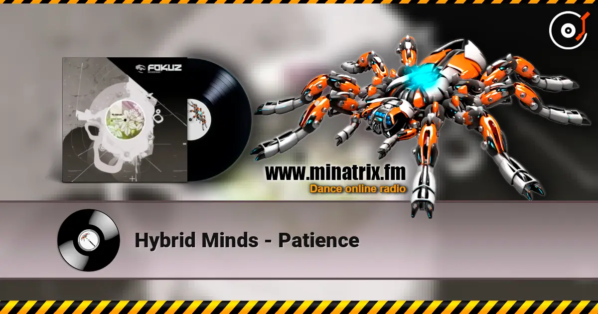 Hybrid Minds - Patience ������� ���������