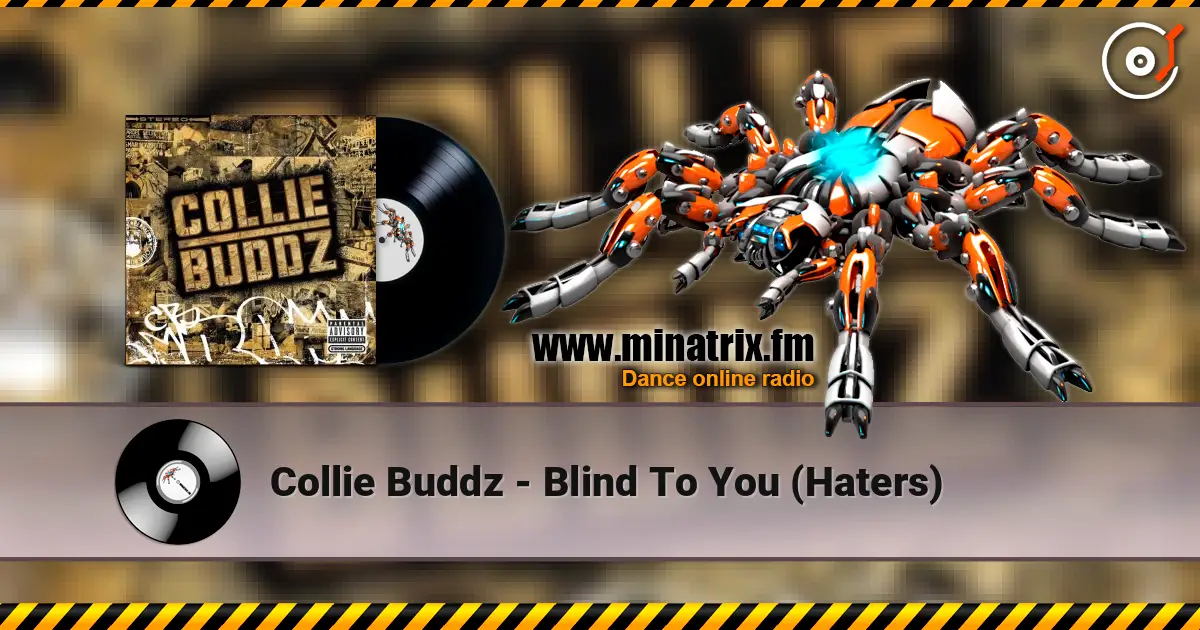 Collie Buddz - Blind To You (Haters) слухати онлайн у високій якості | Minatrix.FM