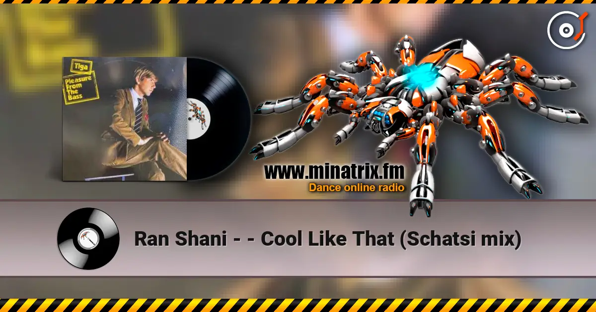 Ran Shani - - Cool Like That (Schatsi mix) ������� ���������