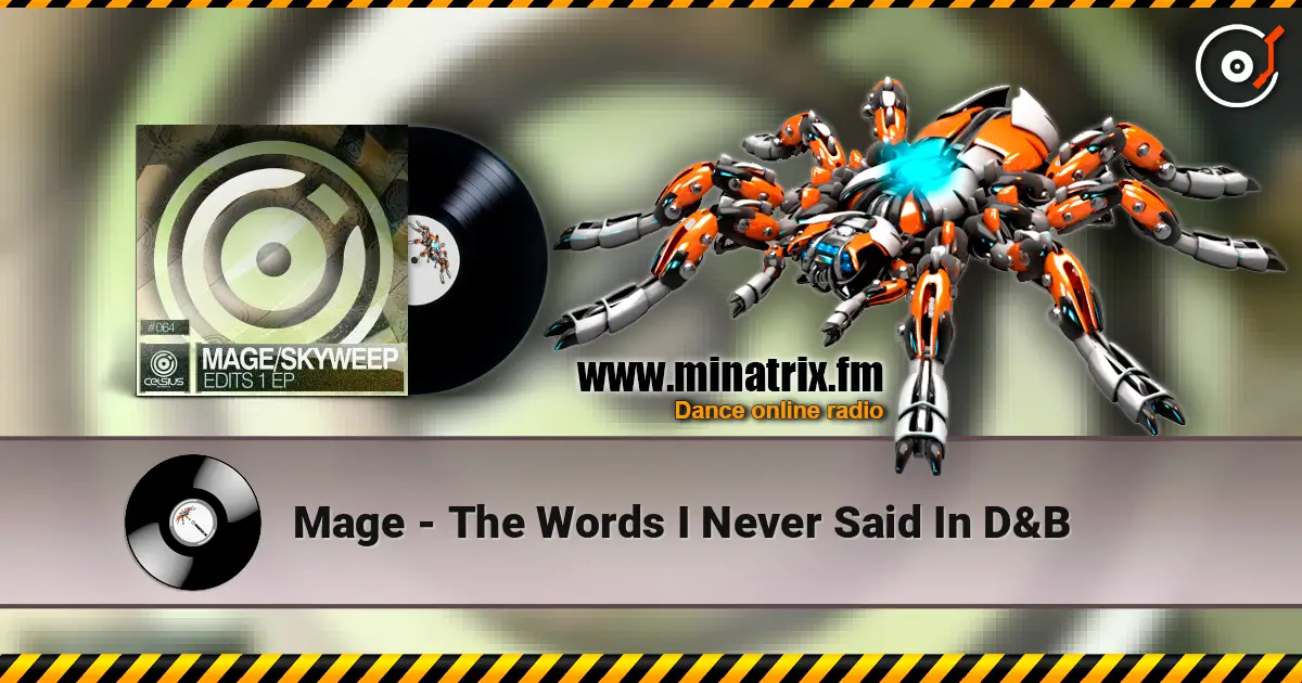Mage - The Words I Never Said In D&B ������� ���������