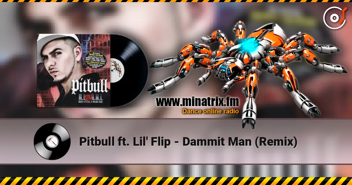 Pitbull ft. Lil' Flip - Dammit Man (Remix) ������� ���������