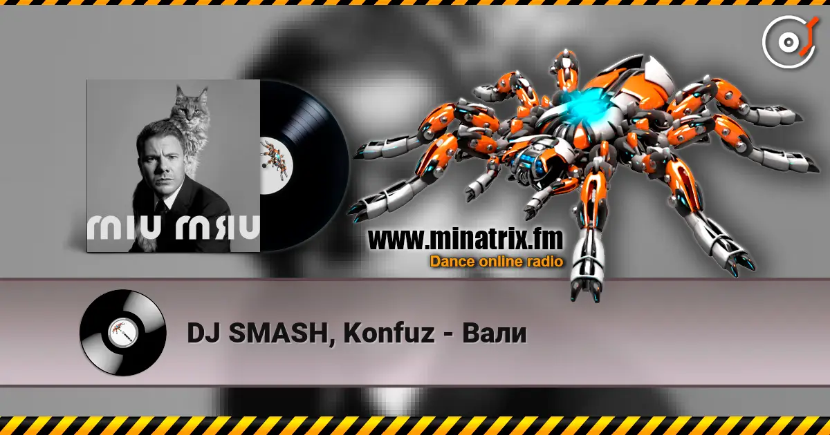 DJ SMASH, Konfuz - ���� ������� ���������