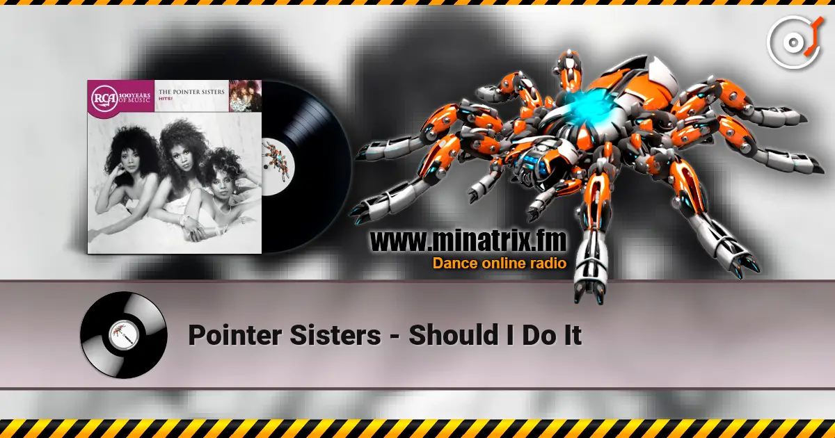 Pointer Sisters - Should I Do It ������� ���������