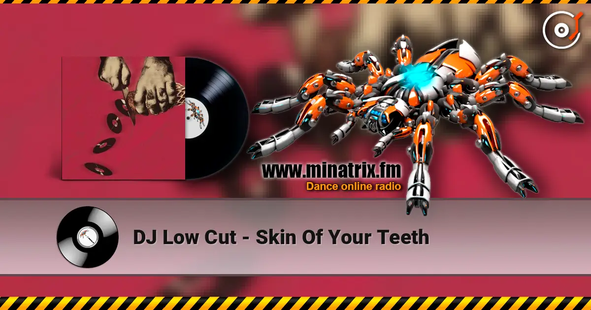 DJ Low Cut - Skin Of Your Teeth слухати онлайн у високій якості | Minatrix.FM