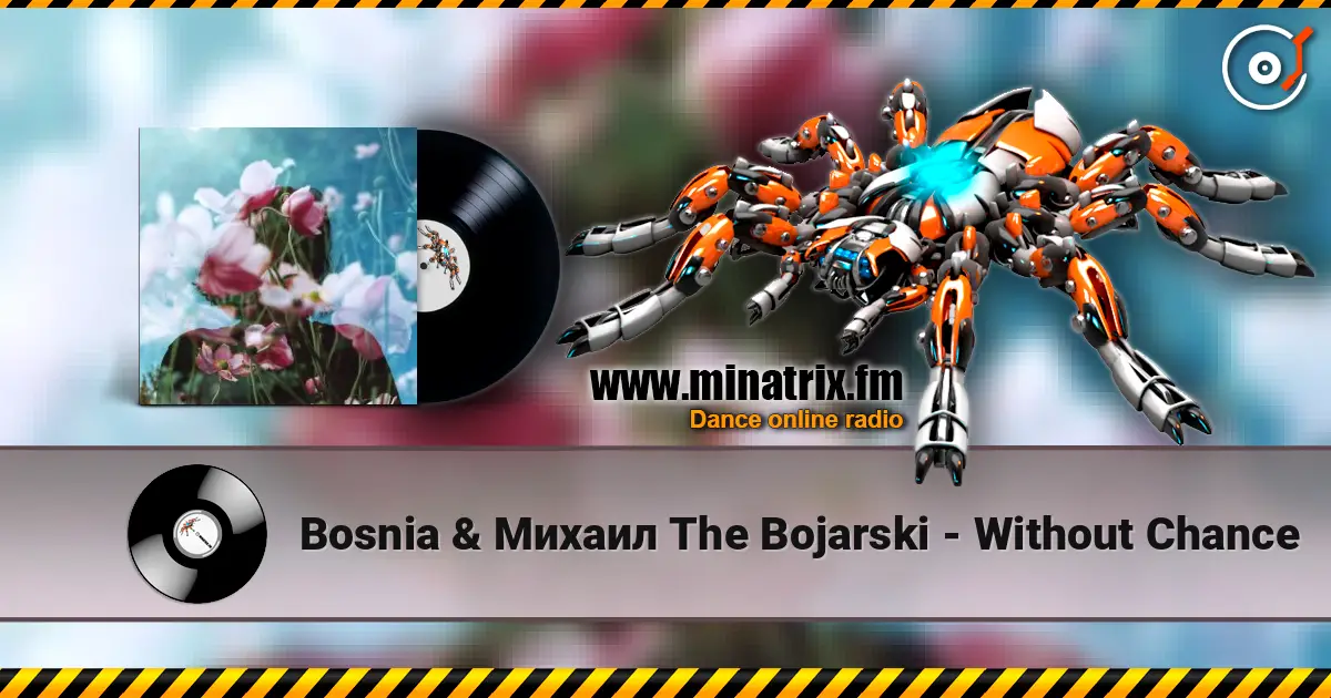 Bosnia & ������ The Bojarski - Without Chance ������� ���������