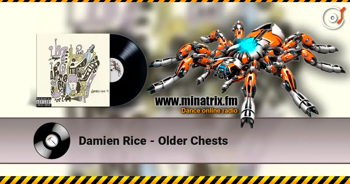 Damien Rice - Older Chests ������� ���������