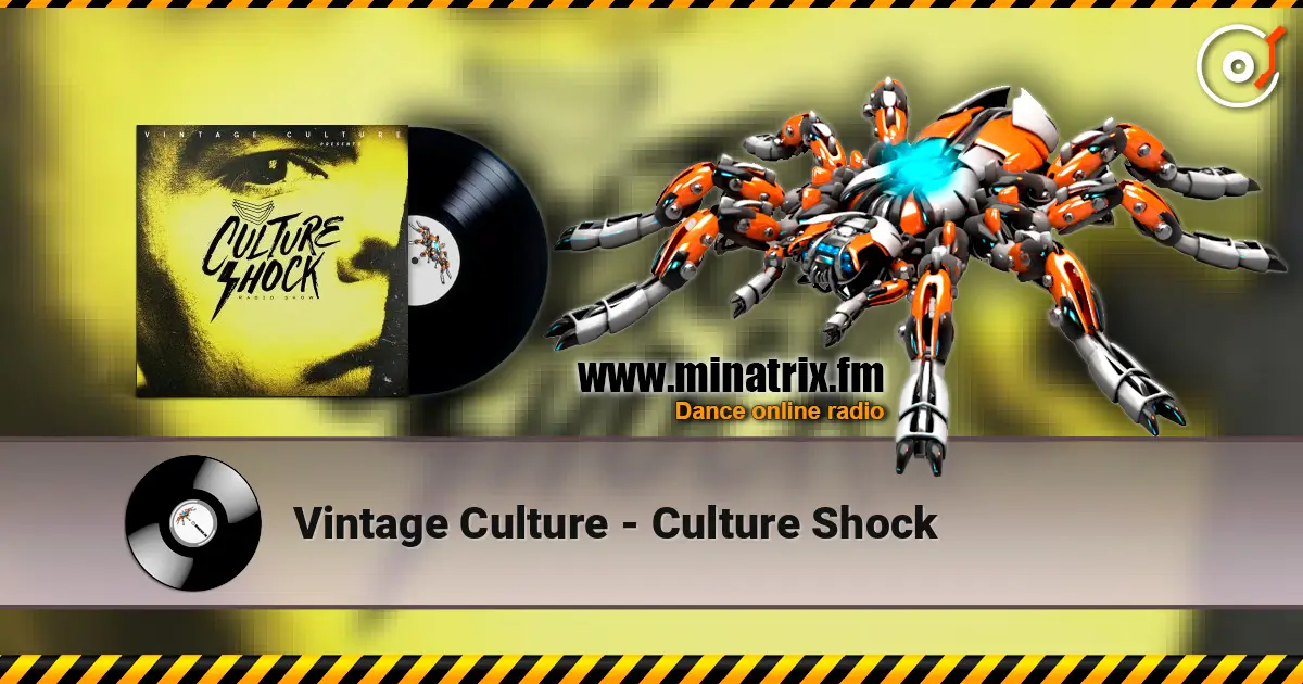 Vintage Culture - Culture Shock ������� ���������
