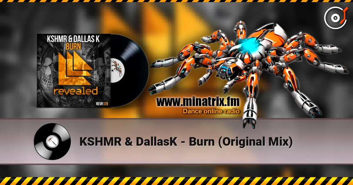 KSHMR & DallasK - Burn (Original Mix) ������� ���������