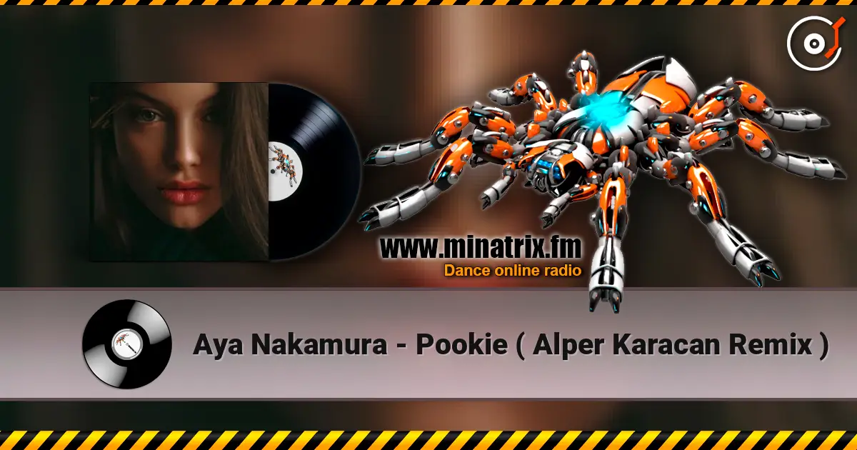 Aya Nakamura - Pookie ( Alper Karacan Remix ) слухати онлайн у високій якості | Minatrix.FM