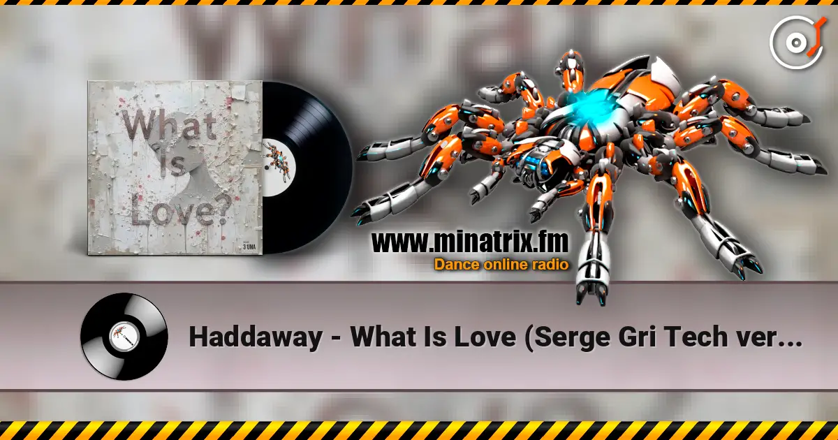 Haddaway - What Is Love (Serge Gri Tech ver cover) ������� ���������
