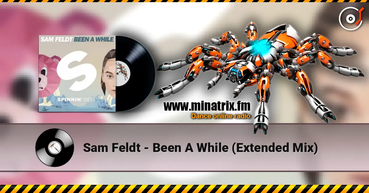 Sam Feldt - Been A While (Extended Mix) ������� ���������