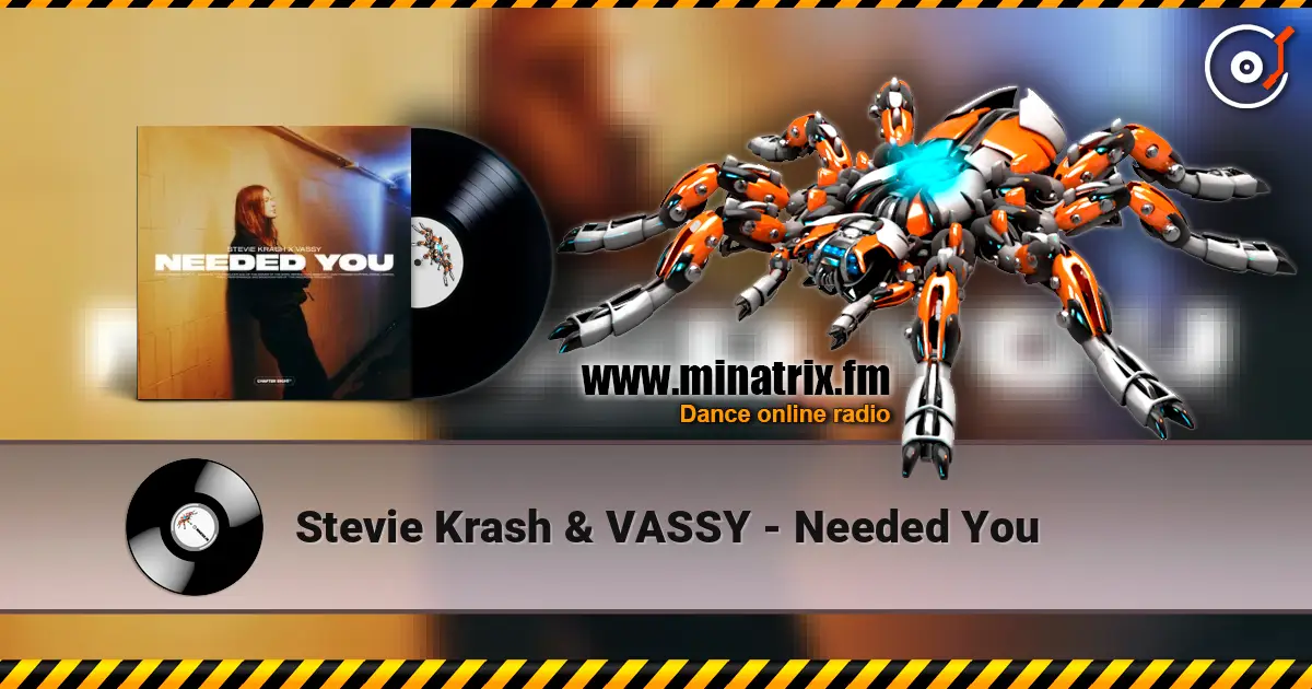 Stevie Krash & VASSY - Needed You ������� ���������