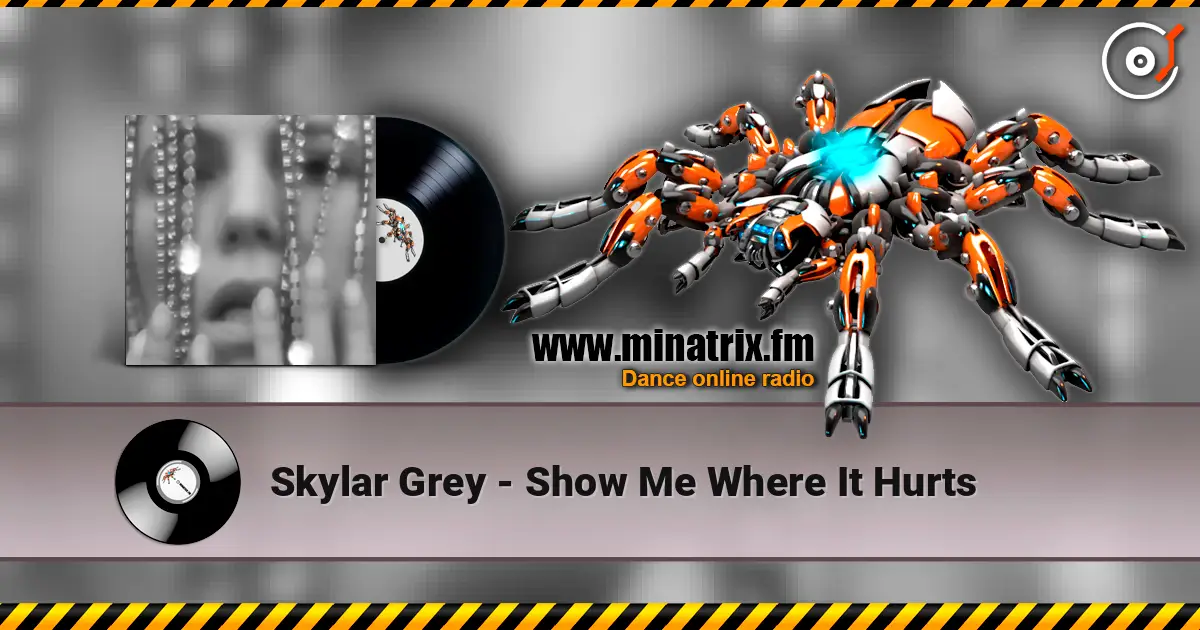 Skylar Grey - Show Me Where It Hurts ������� ���������