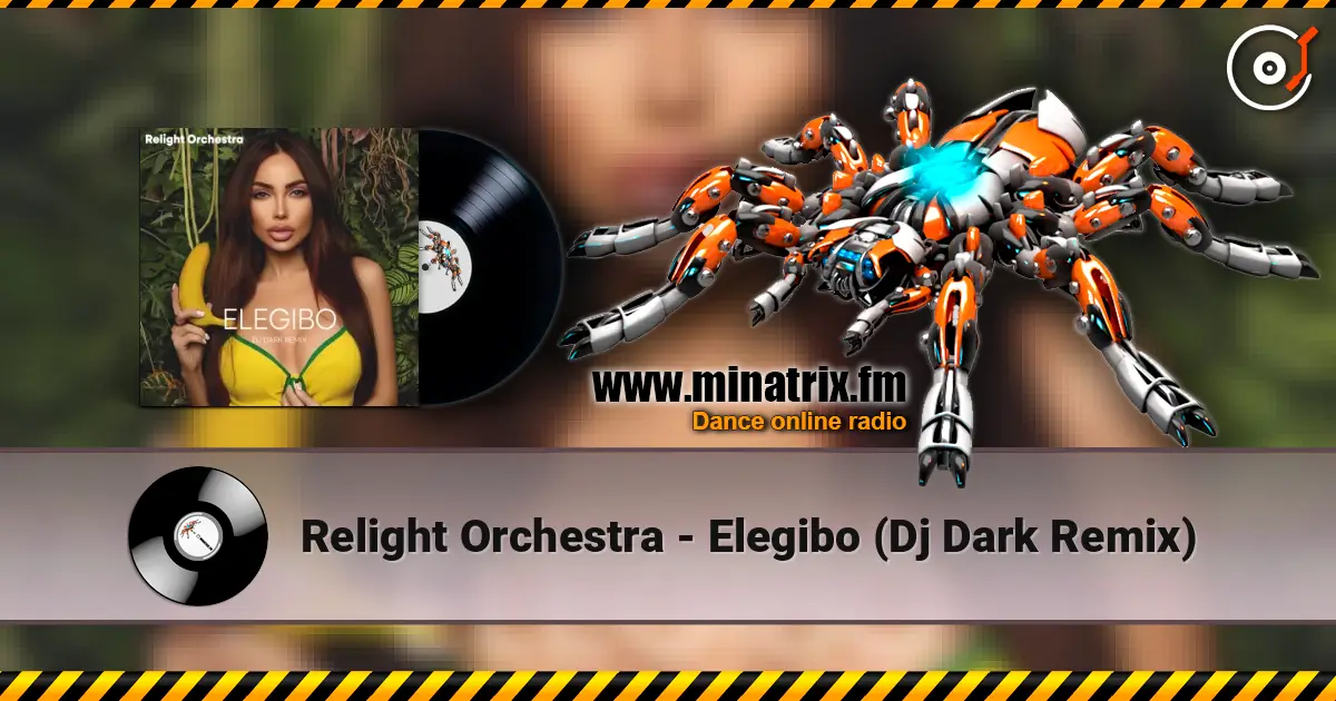 Relight Orchestra - Elegibo (Dj Dark Remix) listen online in high quality | Minatrix.FM