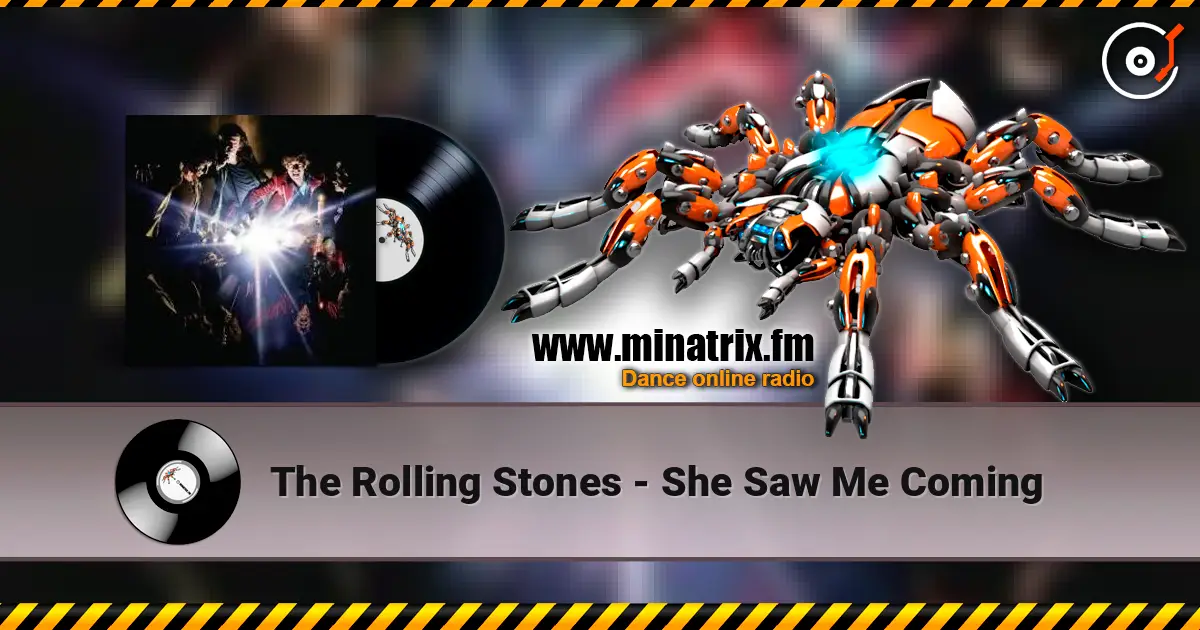 The Rolling Stones - She Saw Me Coming ������� ���������