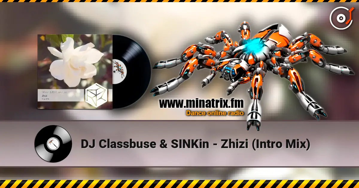 DJ Classbuse & SINKin - Zhizi (Intro Mix) ������� ���������