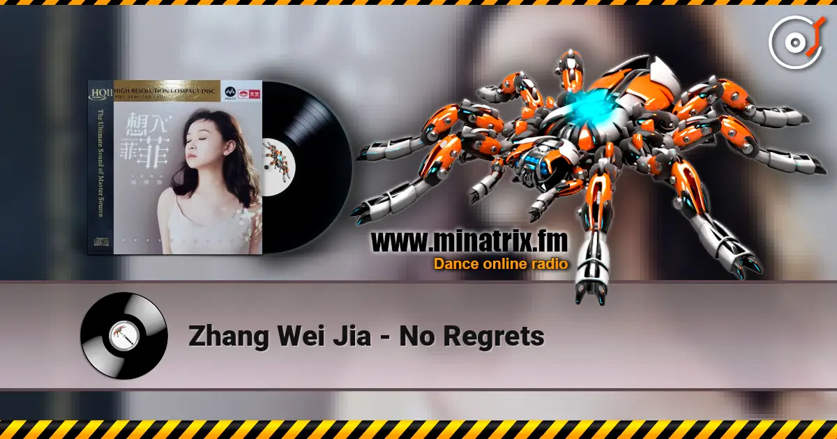 Zhang Wei Jia - No Regrets ������� ���������