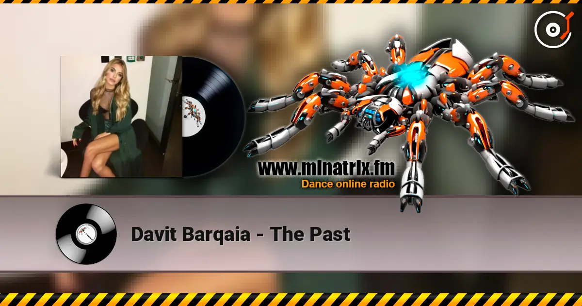 Davit Barqaia - The Past ������� ���������