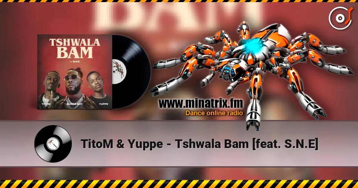TitoM & Yuppe - Tshwala Bam [feat. S.N.E] слухати онлайн у високій якості | Minatrix.FM