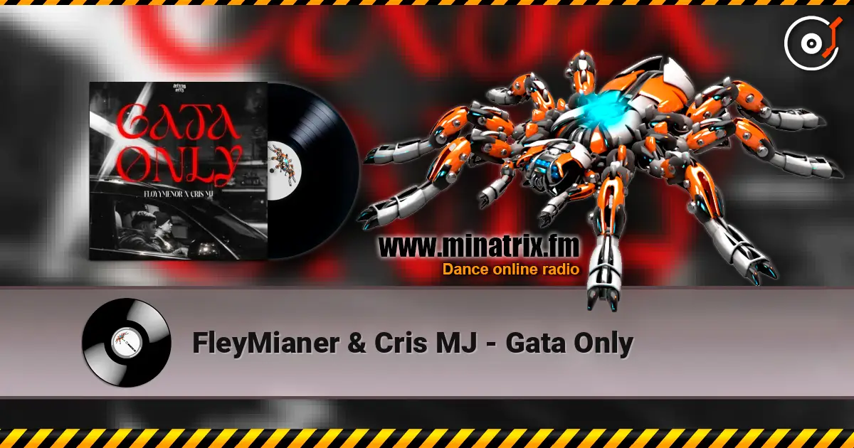 FleyMianer & Cris MJ - Gata Only ������� ���������