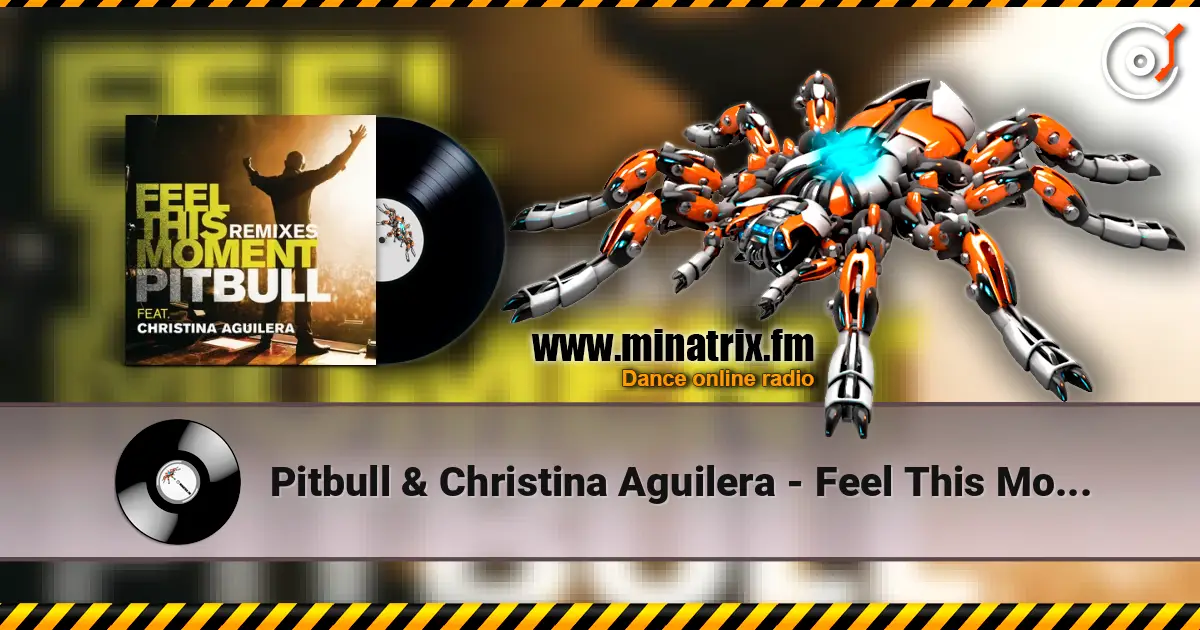 Pitbull & Christina Aguilera - Feel This Moment (Riddler & Reid Stefan Club Mix) ������� ���������