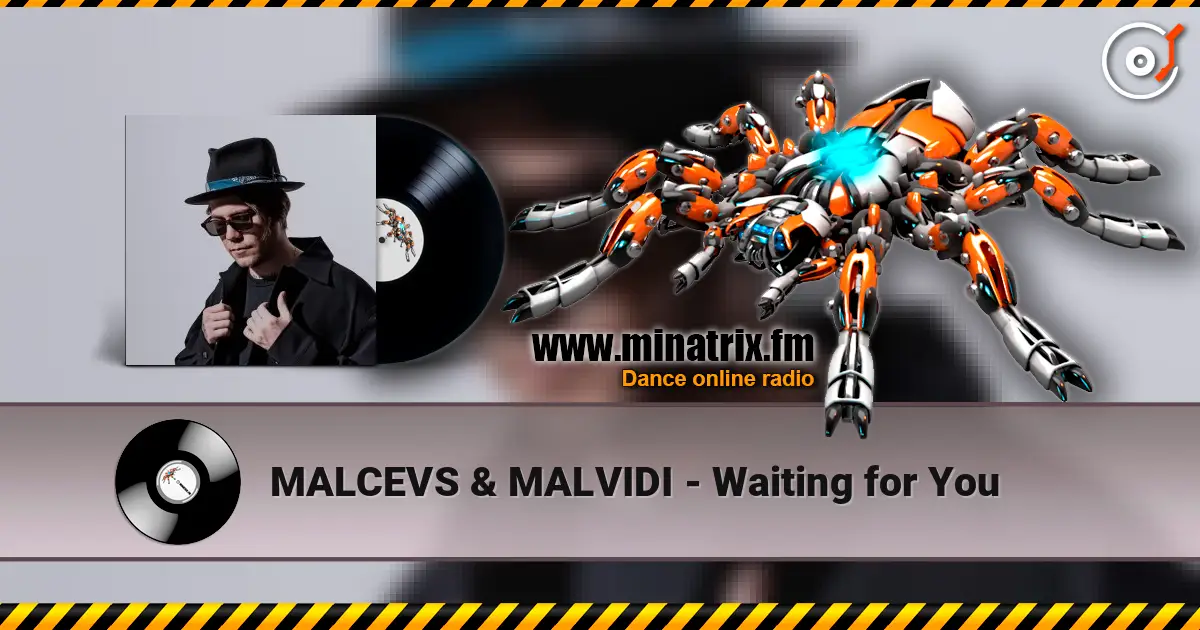 MALCEVS & MALVIDI - Waiting for You слухати онлайн у високій якості | Minatrix.FM