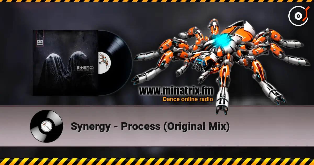 Synergy - Process (Original Mix) ������� ���������