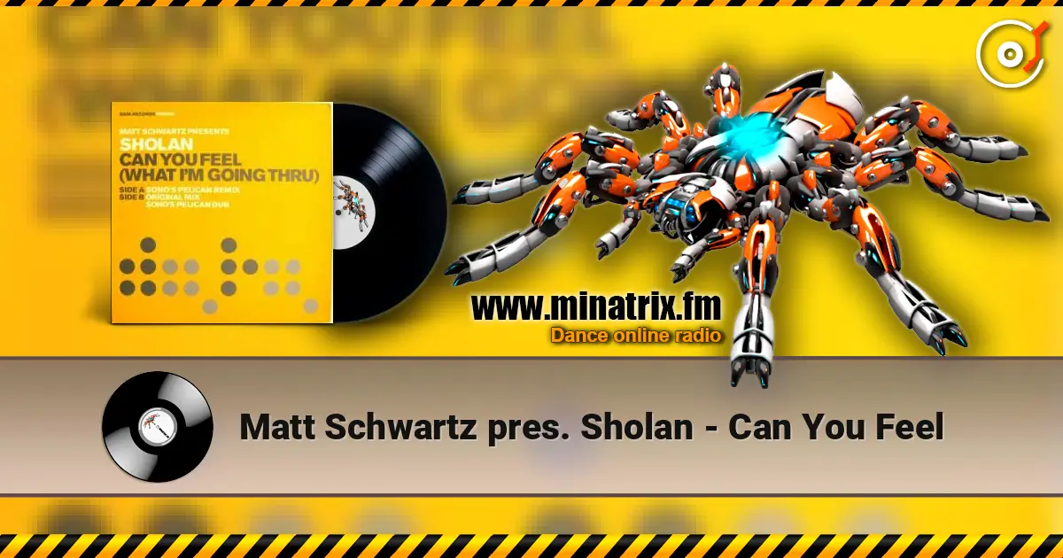 Matt Schwartz pres. Sholan - Can You Feel ������� ���������