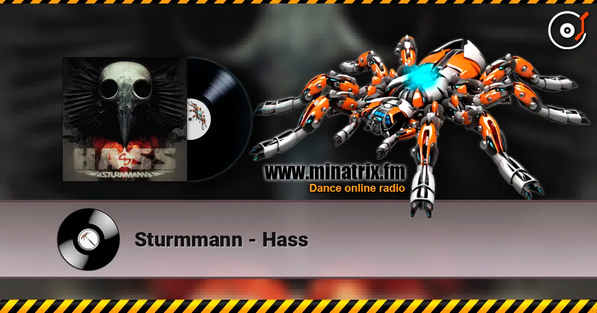 Sturmmann - Hass слухати онлайн у високій якості | Minatrix.FM