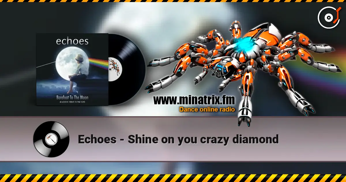 Echoes - Shine on you crazy diamond listen online in high quality | Minatrix.FM