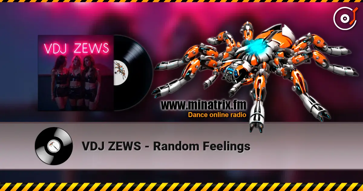 VDJ ZEWS - Random Feelings ������� ���������