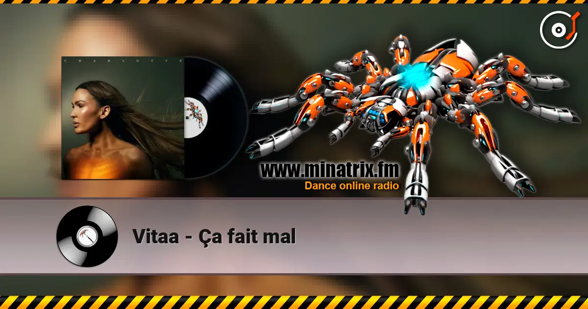 Vitaa - Ça fait mal слухати онлайн у високій якості | Minatrix.FM