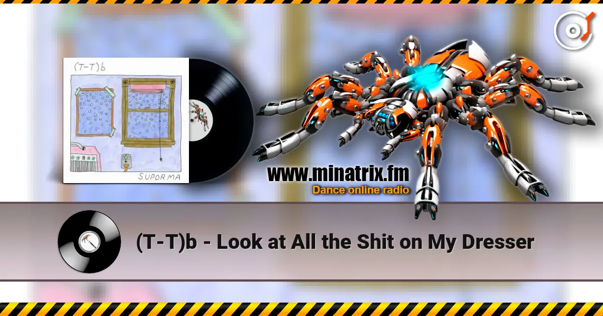 (T-T)b - Look at All the Shit on My Dresser ������� ���������