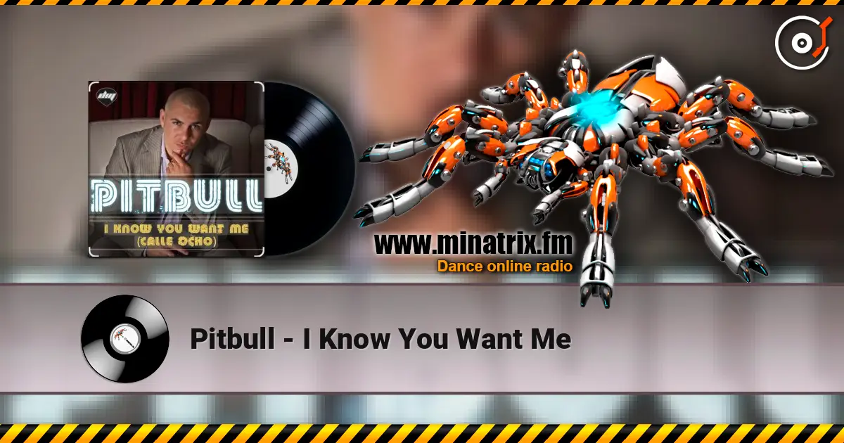 Pitbull - I Know You Want Me ������� ���������