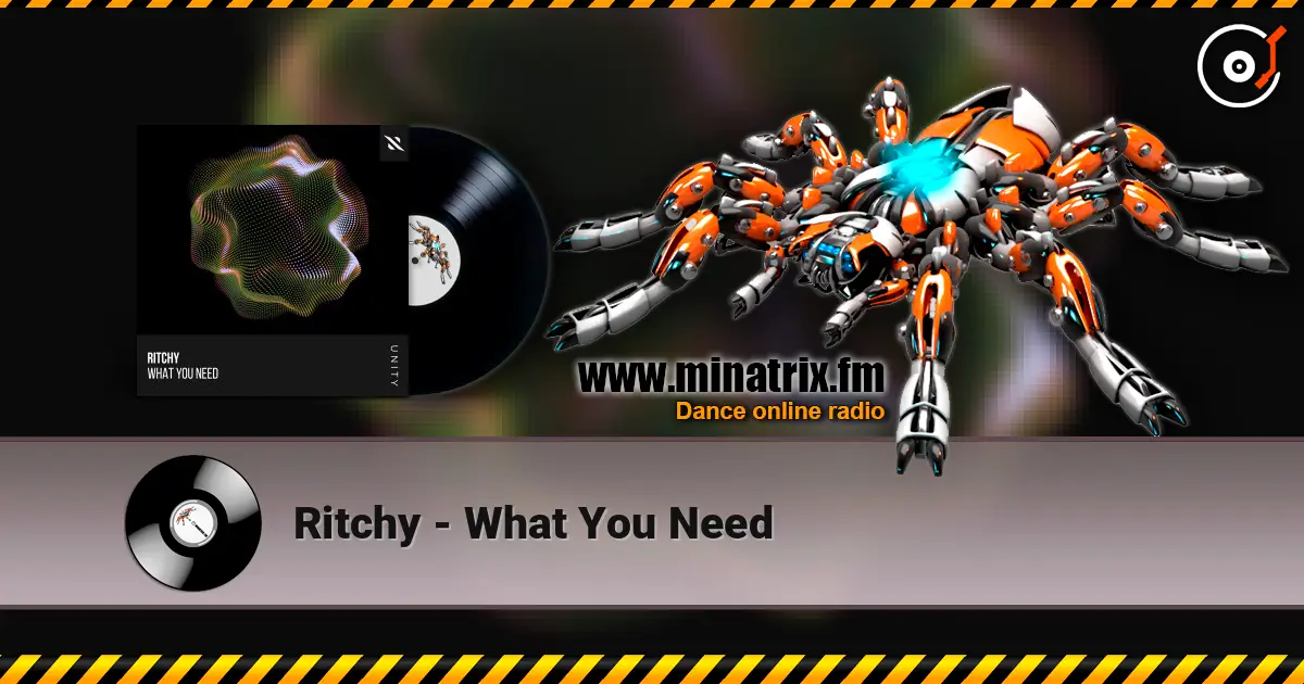 Ritchy - What You Need ������� ���������