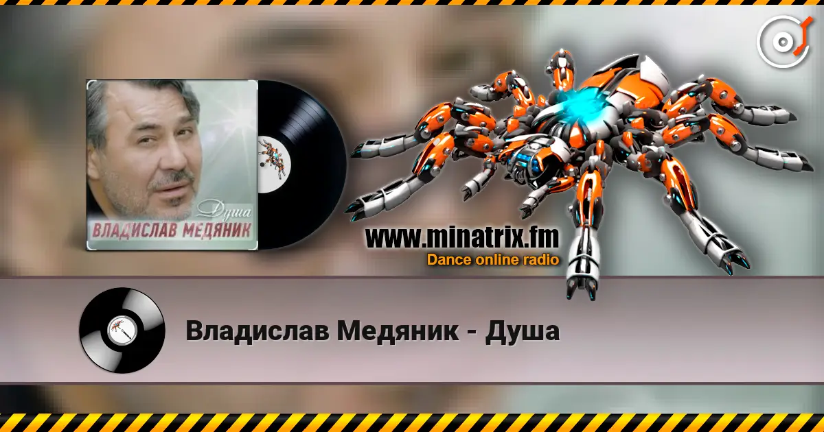 Владислав Медяник - Душа слухати онлайн у високій якості | Minatrix.FM