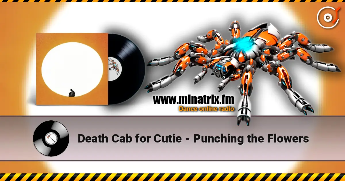 Death Cab for Cutie - Punching the Flowers ������� ���������
