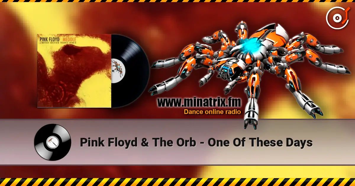 Pink Floyd & The Orb - One Of These Days ������� ���������