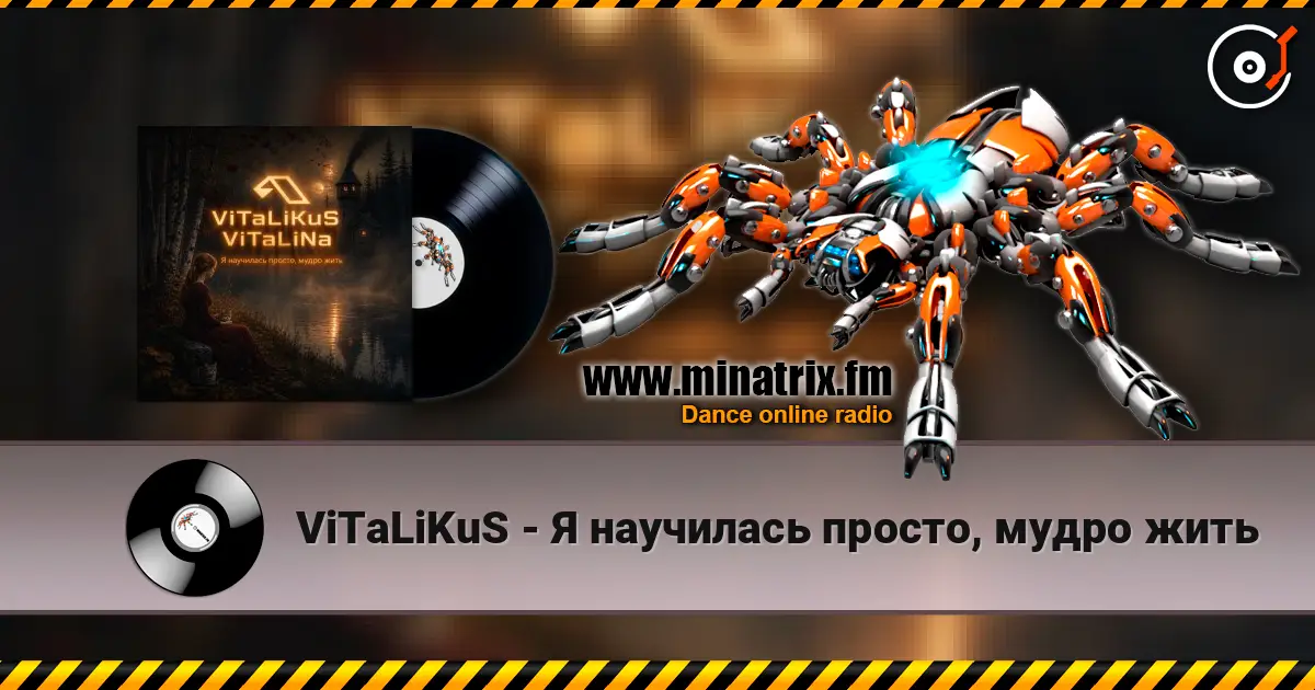 ViTaLiKuS - Я научилась просто, мудро жить слухати онлайн у високій якості | Minatrix.FM