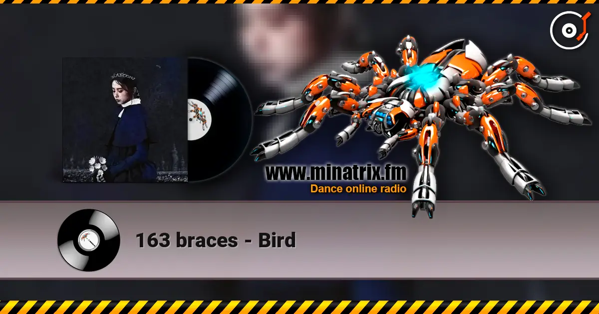163 braces - Bird слухати онлайн у високій якості | Minatrix.FM