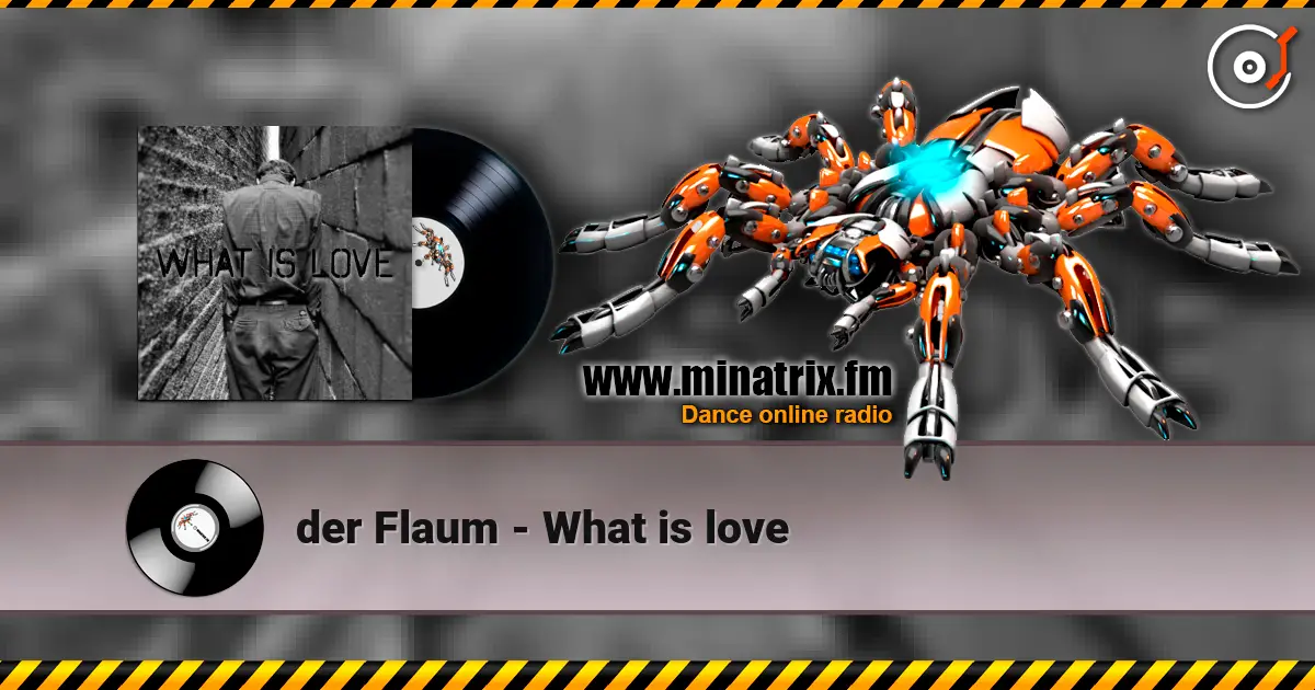 der Flaum - What is love слухати онлайн у високій якості | Minatrix.FM