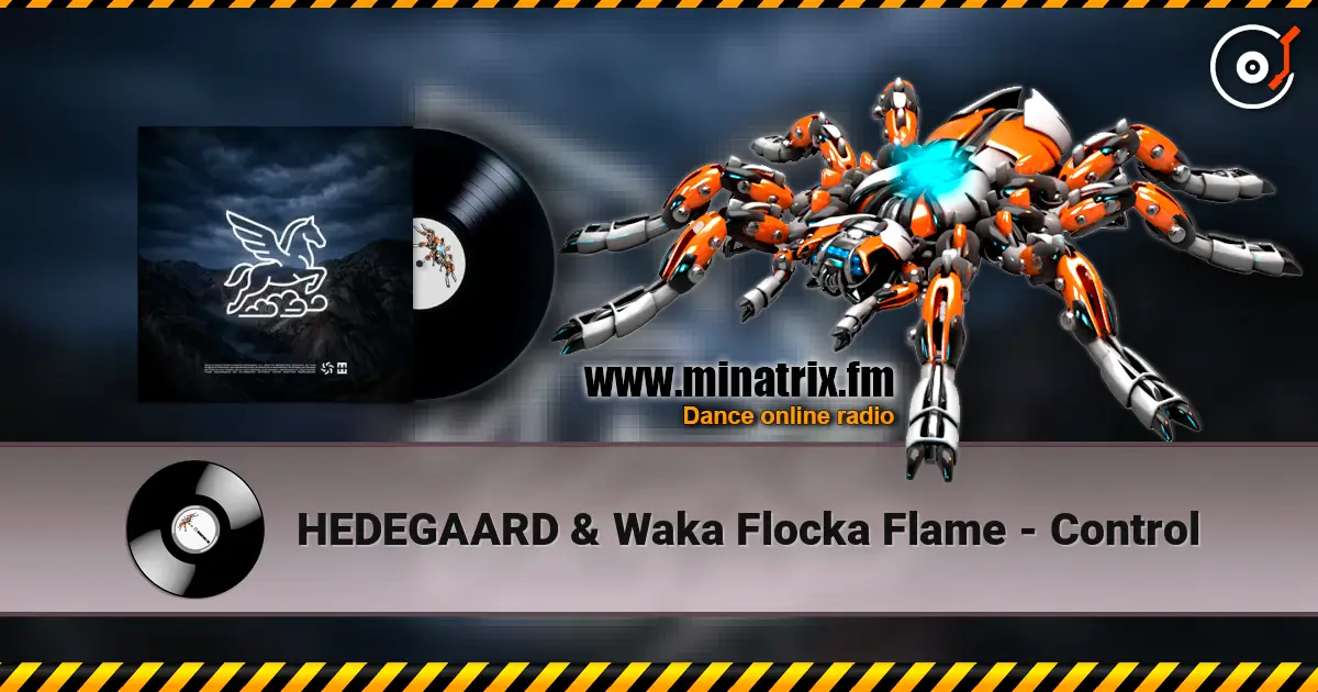 HEDEGAARD & Waka Flocka Flame - Control listen online in high quality | Minatrix.FM