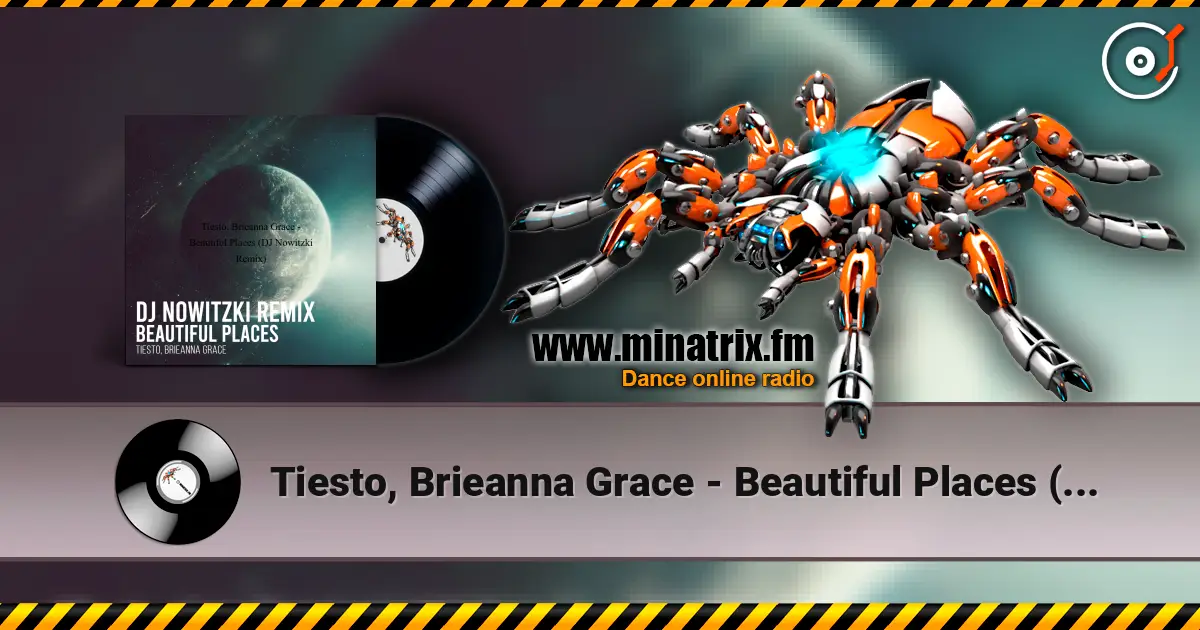Tiesto, Brieanna Grace - Beautiful Places (DJ Nowitzki Remix) слухати онлайн у високій якості | Minatrix.FM