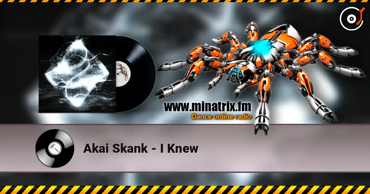 Akai Skank - I Knew слухати онлайн у високій якості | Minatrix.FM