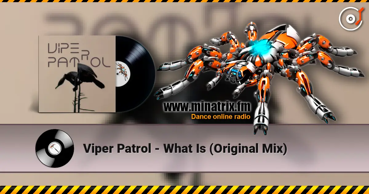 Viper Patrol - What Is (Original Mix) слухати онлайн у високій якості | Minatrix.FM