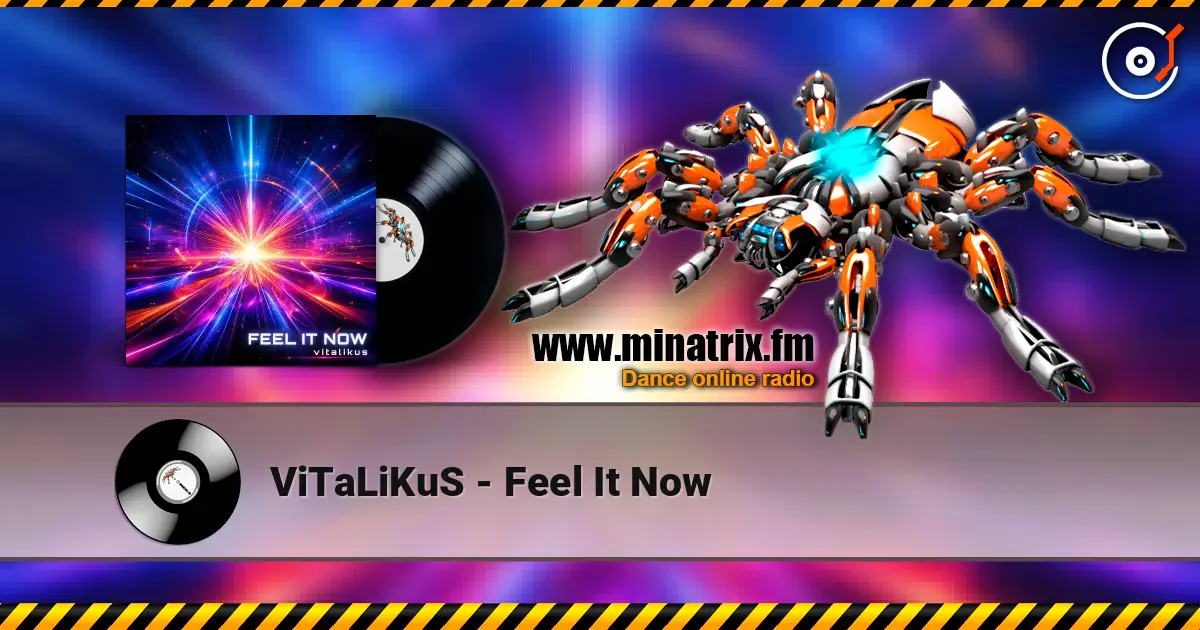 ViTaLiKuS - Feel It Now listen online in high quality | Minatrix.FM