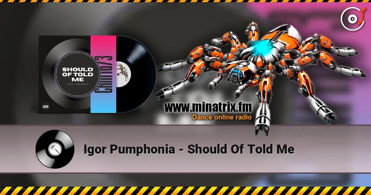 Igor Pumphonia - Should Of Told Me слухати онлайн у високій якості | Minatrix.FM