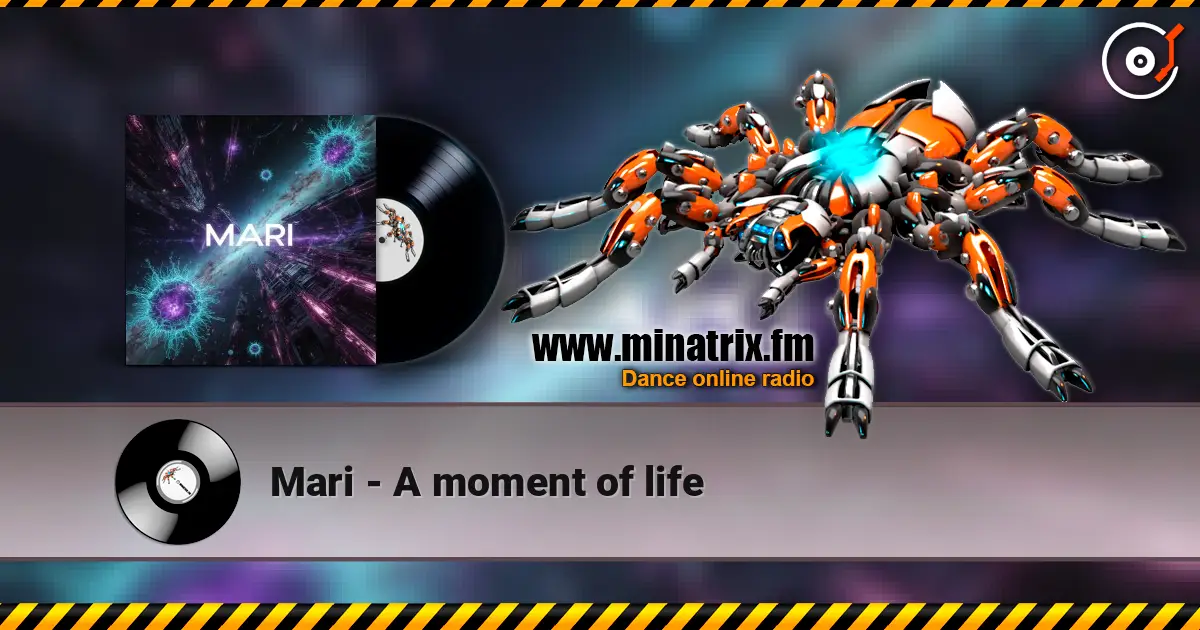 Mari - A moment of life слухати онлайн у високій якості | Minatrix.FM