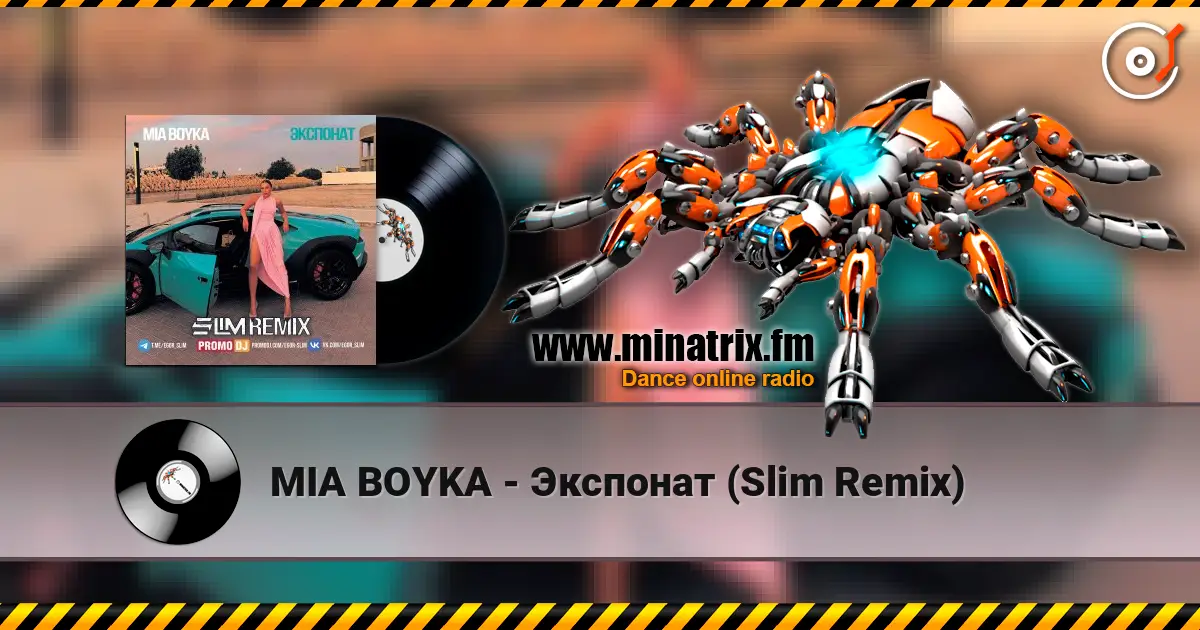 MIA BOYKA - Экспонат (Slim Remix) слухати онлайн у високій якості | Minatrix.FM