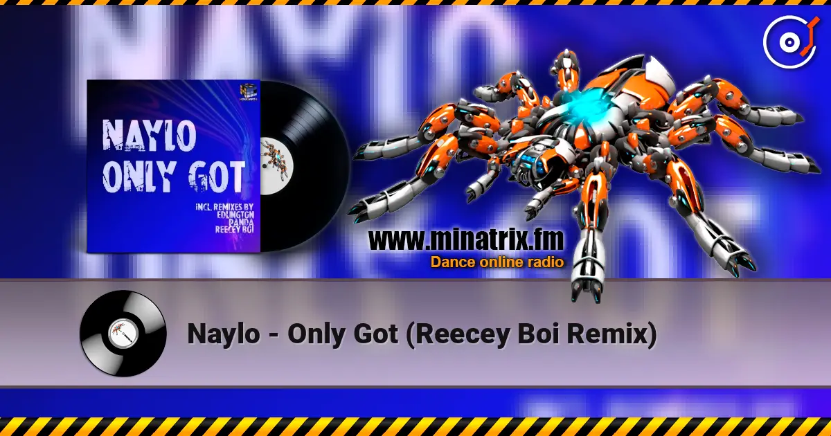 Naylo - Only Got (Reecey Boi Remix) слухати онлайн у високій якості | Minatrix.FM